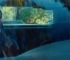 Filename=BourneLegacy-caps_377.jpg
Filesize=103KB
Dimensions=1280x536
Date added=Jul 26, 2013 BourneLegacy-caps_377.jpg