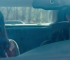 Filename=BourneLegacy-caps_396.jpg
Filesize=99KB
Dimensions=1280x536
Date added=Jul 26, 2013 BourneLegacy-caps_396.jpg