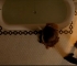 Filename=constantine_422.jpg
Filesize=121KB
Dimensions=648x288
Date added=Apr 16, 2008 constantine_422.jpg
