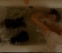 Filename=constantine_471.jpg
Filesize=84KB
Dimensions=648x288
Date added=Apr 16, 2008 constantine_471.jpg