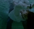 Filename=constantine_587.jpg
Filesize=97KB
Dimensions=648x288
Date added=Apr 16, 2008 constantine_587.jpg