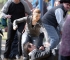 Filename=002.jpeg
Filesize=91KB
Dimensions=515x592
Date added=Apr 16, 2008 002.jpeg