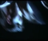 seventeen_247.jpg
