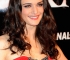 Filename=046.jpg
Filesize=94KB
Dimensions=390x600
Date added=Oct 10, 2009 046.jpg