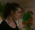 tropical_012.jpg