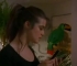 tropical_015.jpg